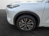 GEELY STARRAY EM-I PHEV 262 MAX +